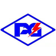 Pinggao Group logo